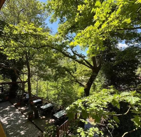 Bar Restaurant Hotel Fresku