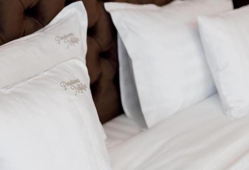 هتل Pensiunea Natalya