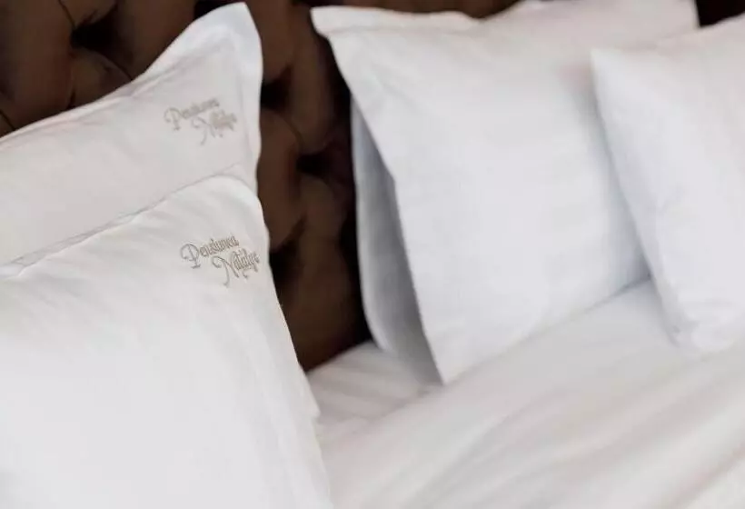 ホテル Pensiunea Natalya