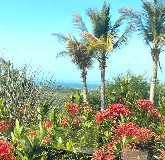 ペンション Casa De Hóspedes Aretê Golfe Clube