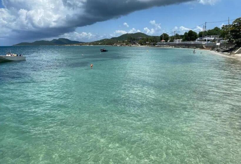 Apartamentos En Viques Puerto Rico