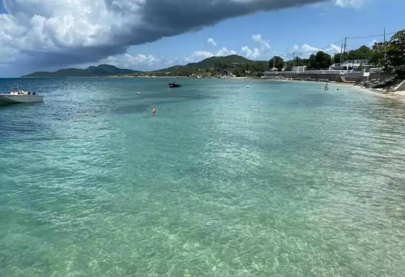 Apartamentos En Viques Puerto Rico