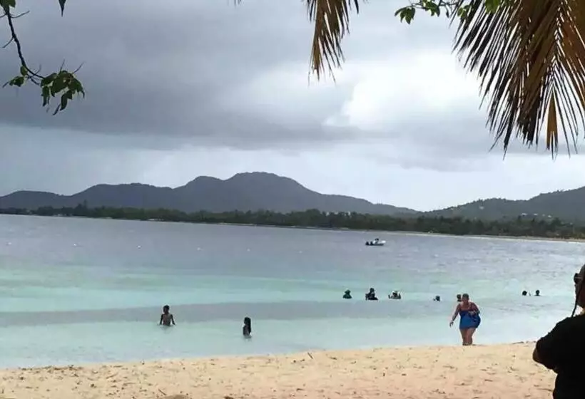 Apartamentos En Viques Puerto Rico