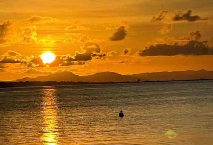 Apartamentos En Viques Puerto Rico