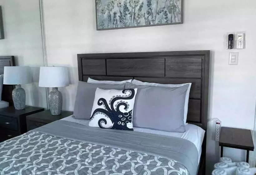 Apartamentos En Viques Puerto Rico