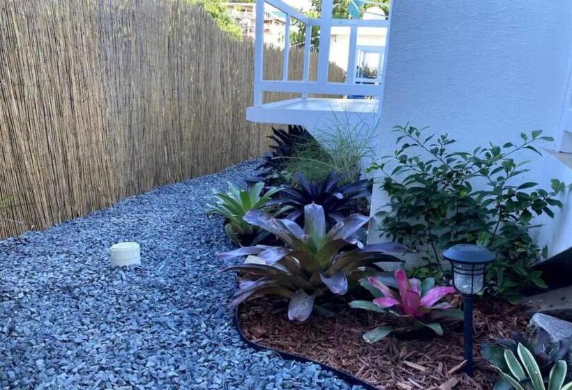 Apartamentos En Viques Puerto Rico