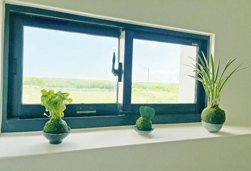 Tidal Stream Sea View B&b