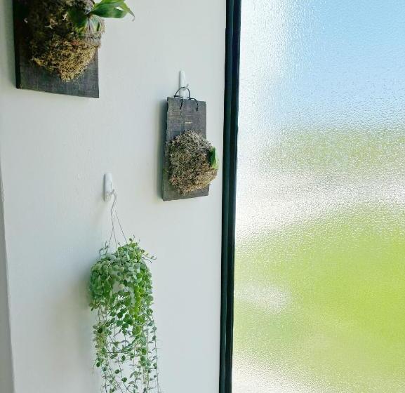 Tidal Stream Sea View B&b