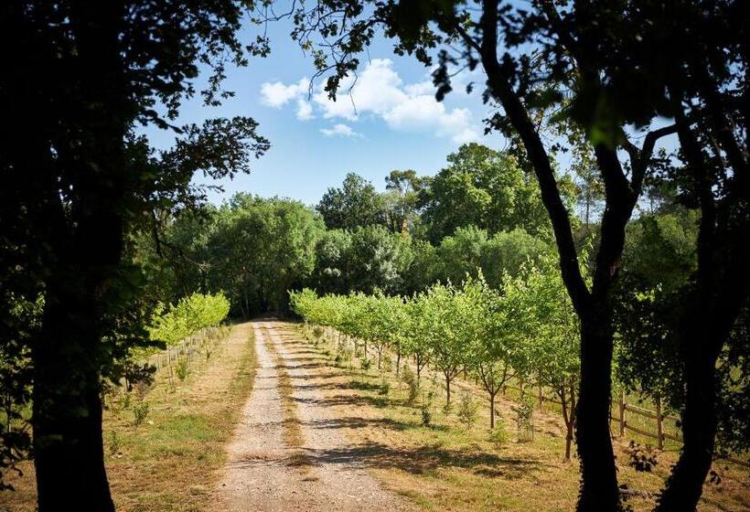 住宿加早餐 Ferme Saint Georges En Provence