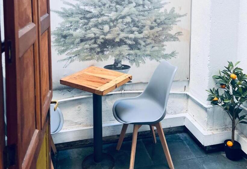 Casona Montt 522   B&b