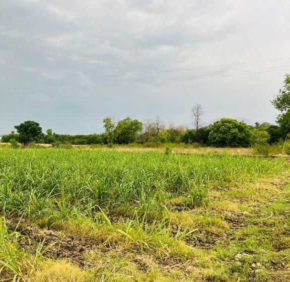 هتل The Bougainvillea Cottage Farmstay Near Dehradun , 2 Bedroom Private Cottage Next To Fields And Orch