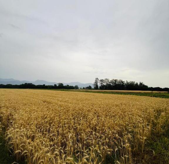 هتل The Bougainvillea Cottage Farmstay Near Dehradun , 2 Bedroom Private Cottage Next To Fields And Orch