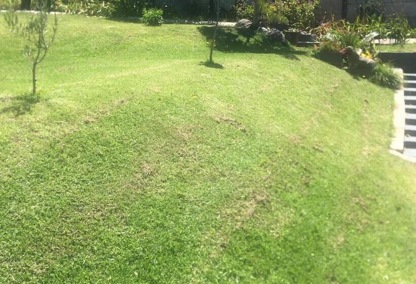 펜션 Derust Danabay Accomodation