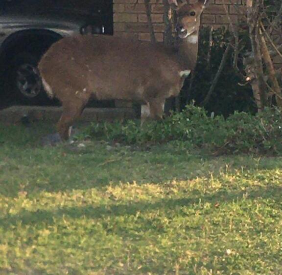 펜션 Derust Danabay Accomodation