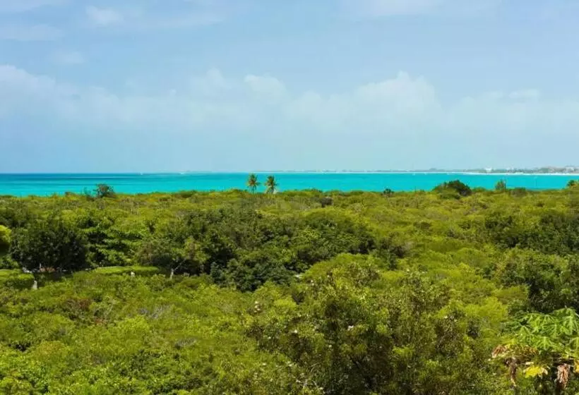 Vacation Apartments Caicos Islands, Turks And Caicos