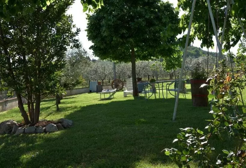B&b La Madonnina