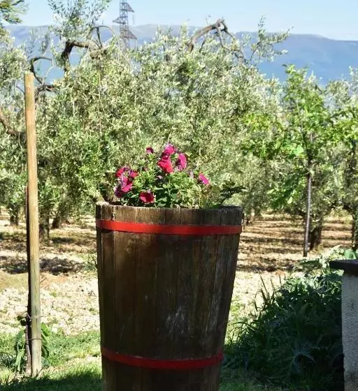 B&b La Madonnina
