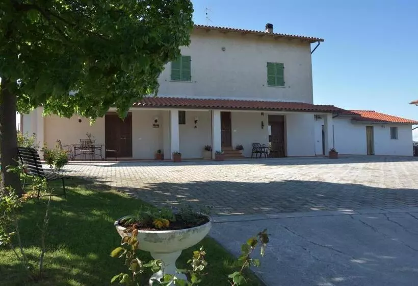 B&b La Madonnina