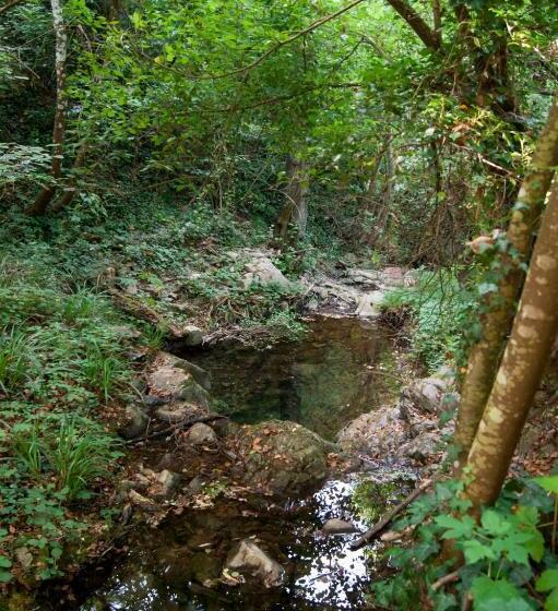 צימר Secret Gardens