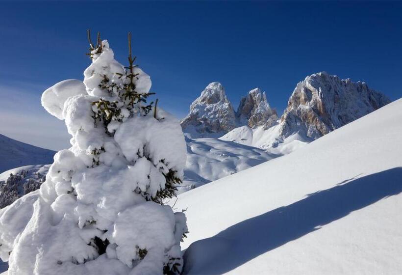 فندق Al Viel B&b