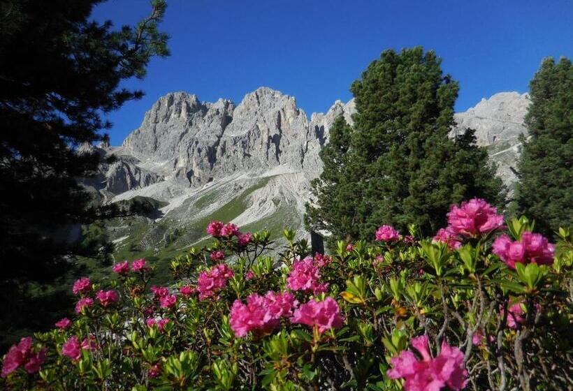 فندق Al Viel B&b