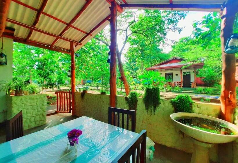 Hotelli Elephant S Joint