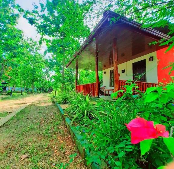 Hotelli Elephant S Joint