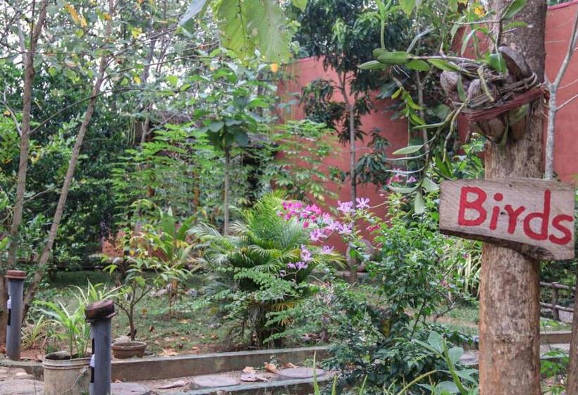 Hotelli Elephant S Joint