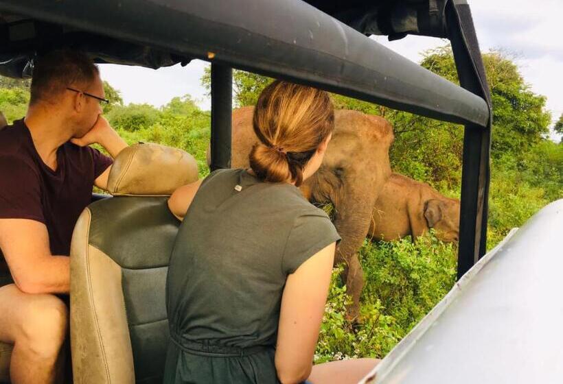 Hotelli Elephant S Joint