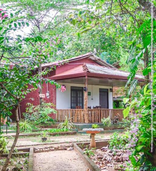 Hotelli Elephant S Joint