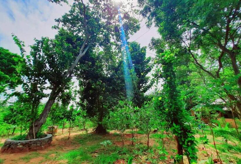 Hotelli Elephant S Joint