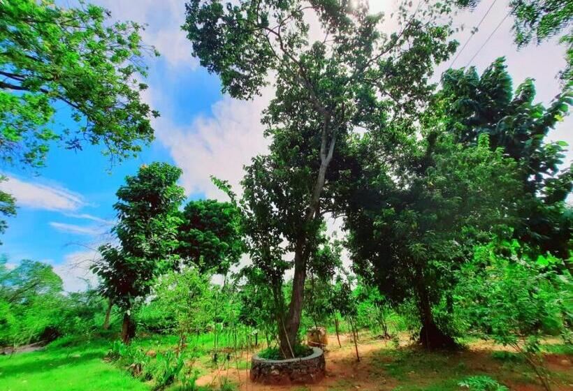 Hotelli Elephant S Joint