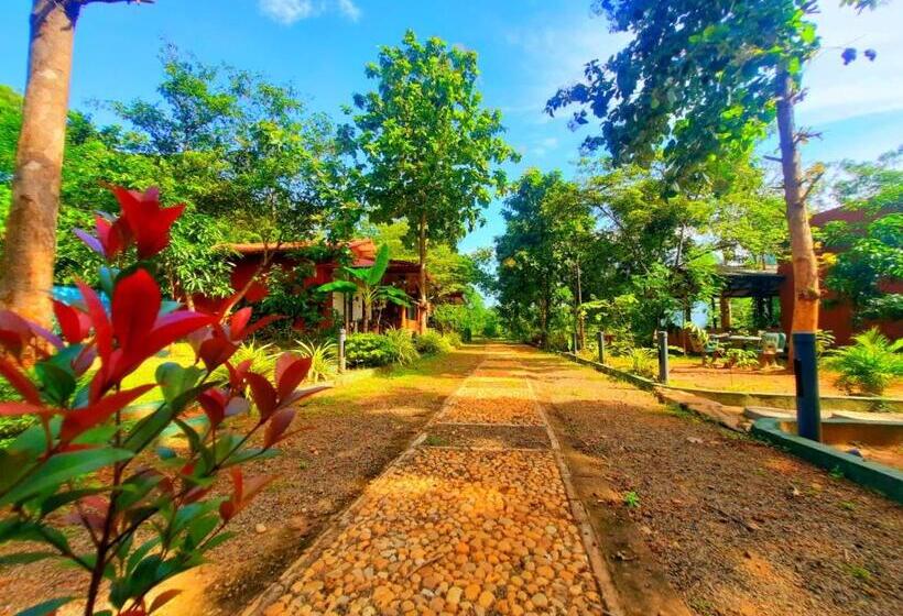 Hotelli Elephant S Joint