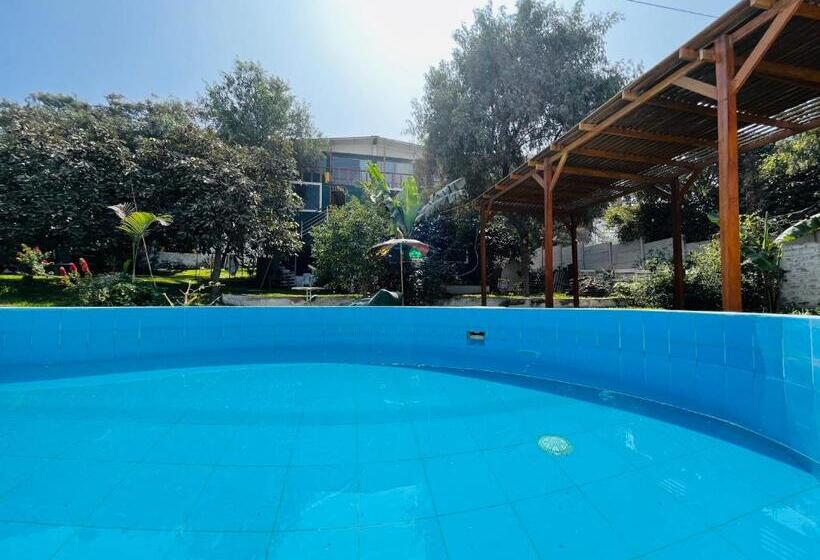 هتل Favorite Preferred Macaw