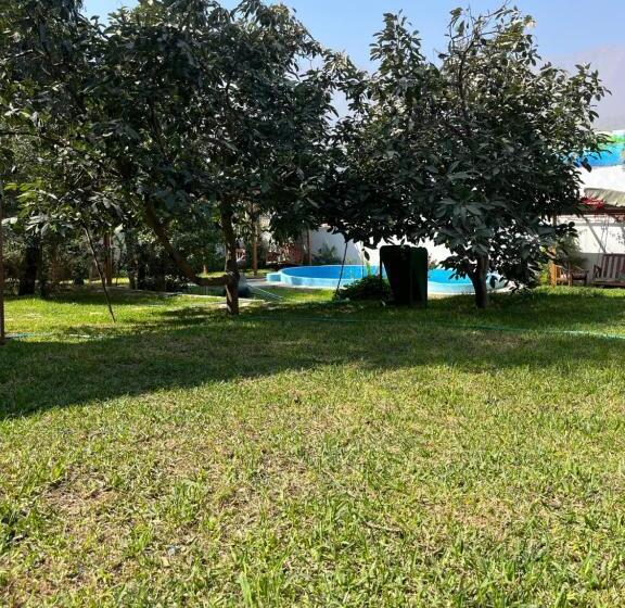 هتل Favorite Preferred Macaw