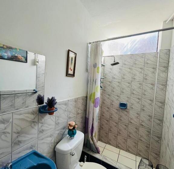 هتل Favorite Preferred Macaw