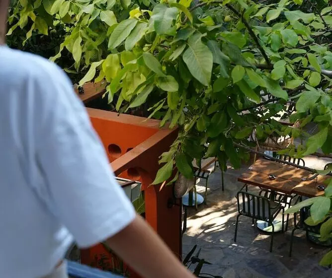 ホテル Pietra Social House