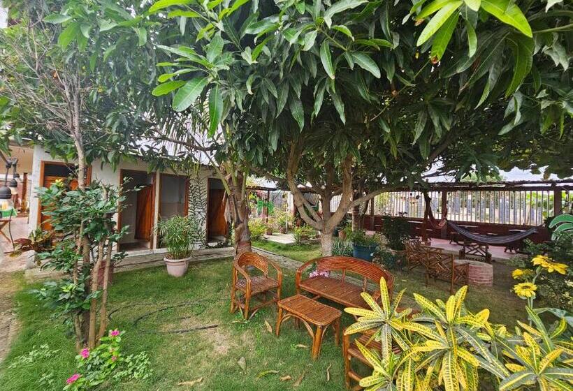 Pension Camping Hostel