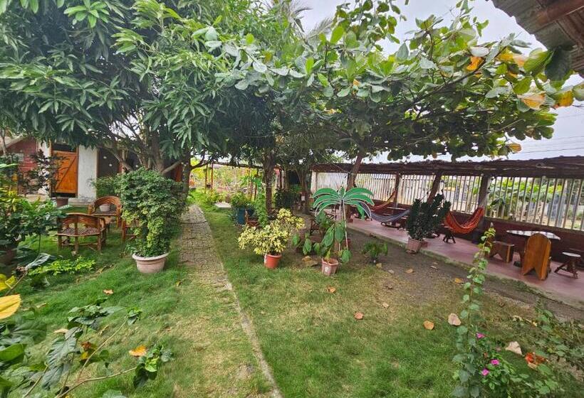 Pension Camping Hostel