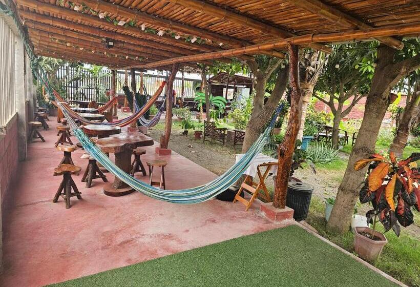 Pension Camping Hostel