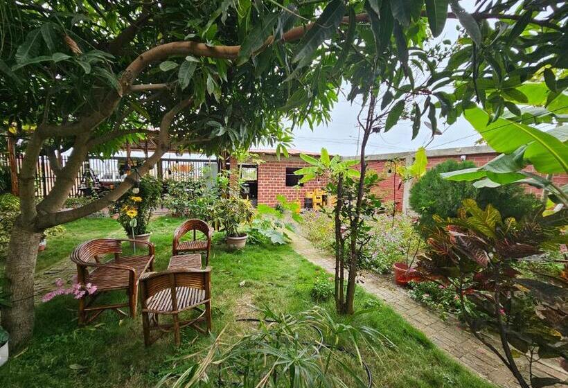 Pension Camping Hostel