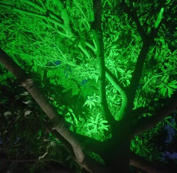 پانسیون Casa Guajira