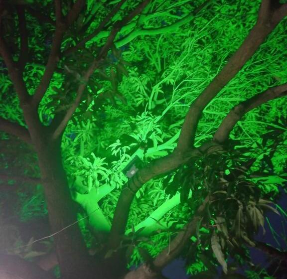 پانسیون Casa Guajira