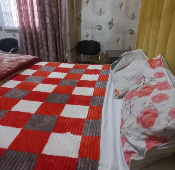 Пансион Dream 62