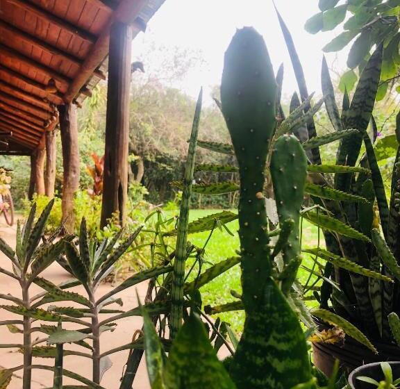 Pansiyon Hostel Che Camba