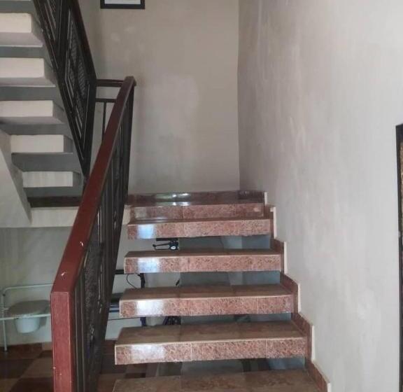 پانسیون Tall Tree Lodge Freetown