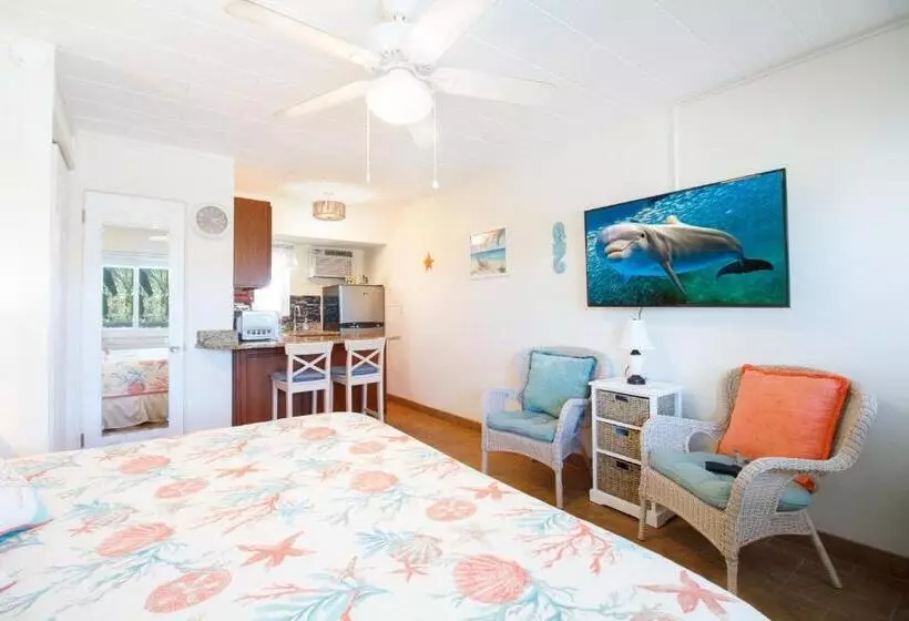 Tropic Terrace Suite #31   Beachfront Resort