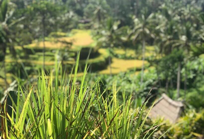 旅馆 Kaki Uma Villa