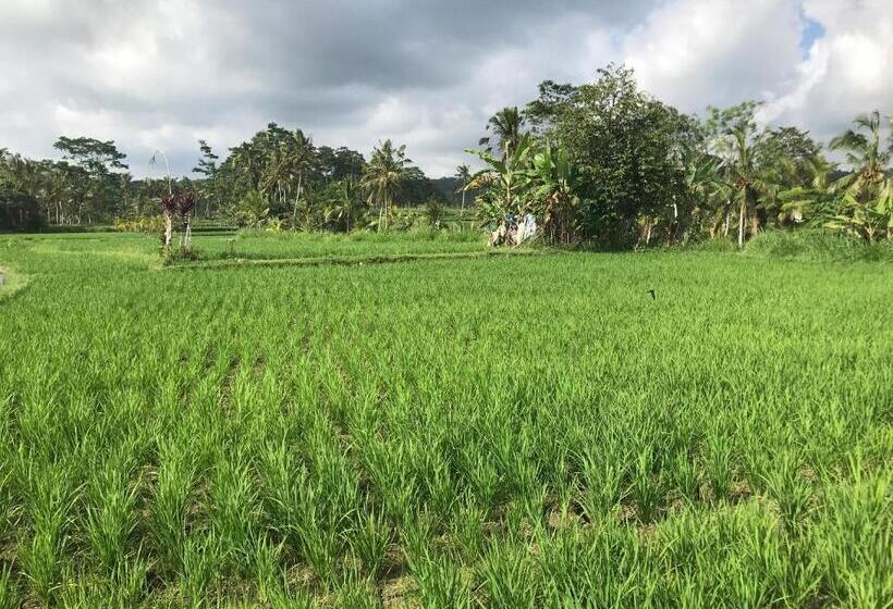 旅馆 Kaki Uma Villa