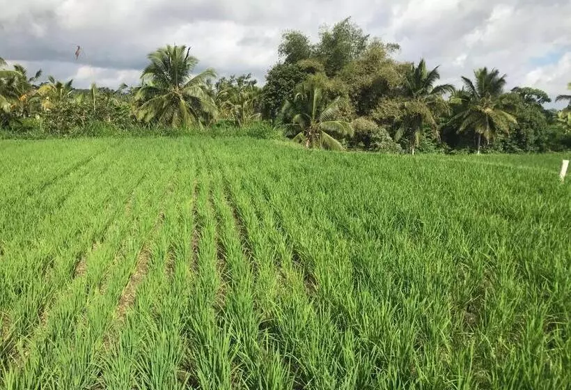 ユースホステル Kaki Uma Villa